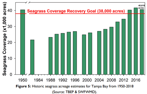 Historic seagrass acreage estimates for Tampa Bay from 1950 to 2018, showing 40,000 acres in 1950 then a drop to 20,000 acres in 1984. Acreage increases steadily over time until the total is back to 40,000 in 2018.